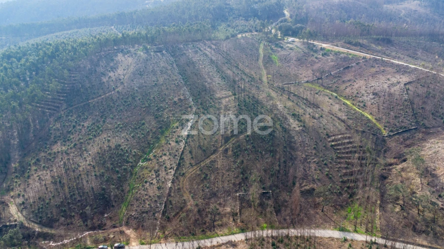 Terreno para Venda em Rio Mau