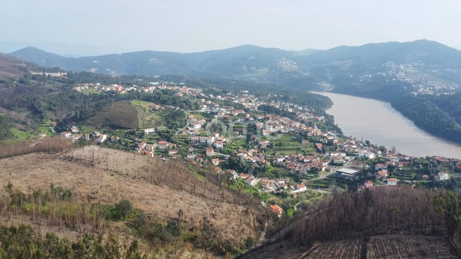 Terreno para Venda em Rio Mau