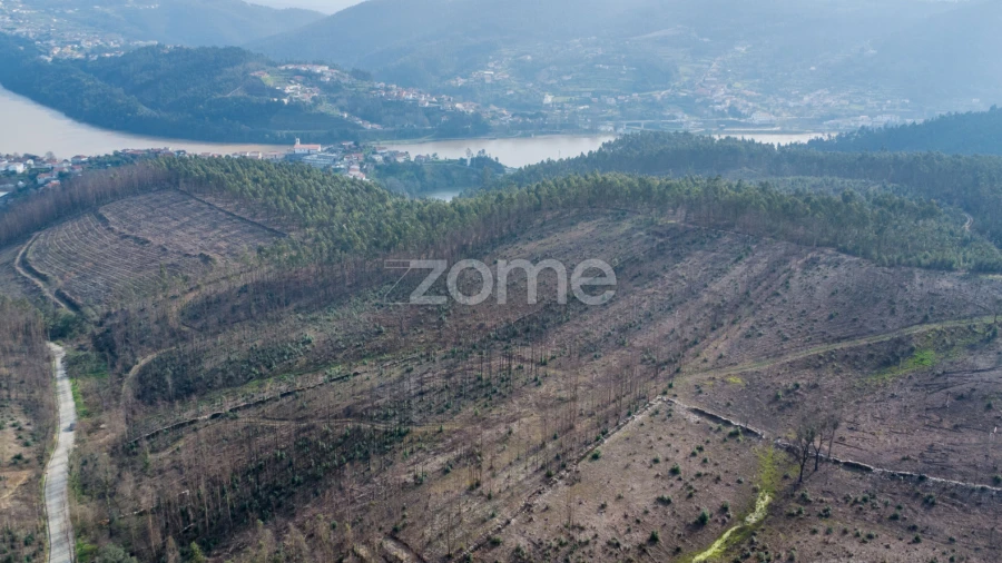 Terreno para Venda em Rio Mau