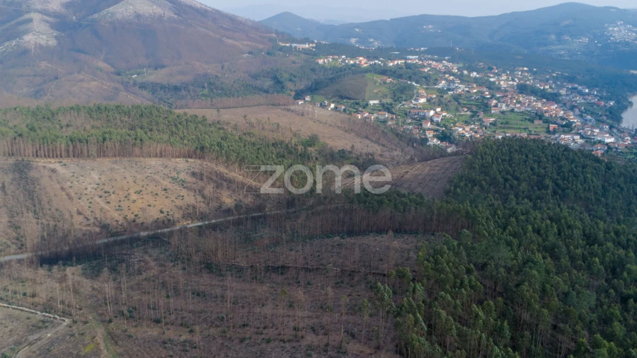 Terreno para Venda em Rio Mau