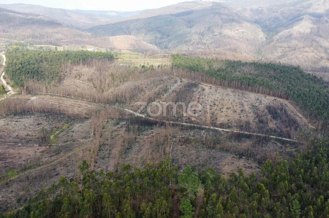 Terreno para Venda em Rio Mau Foto 5