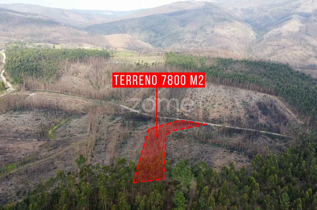 Terreno para Venda em Rio Mau Foto 8