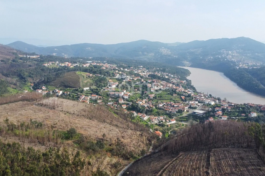 Terreno para Venda em Rio Mau Foto 1