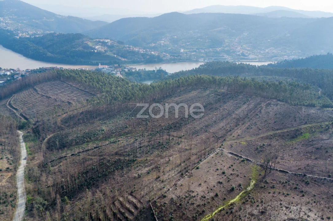 Terreno para Venda em Rio Mau Foto 2