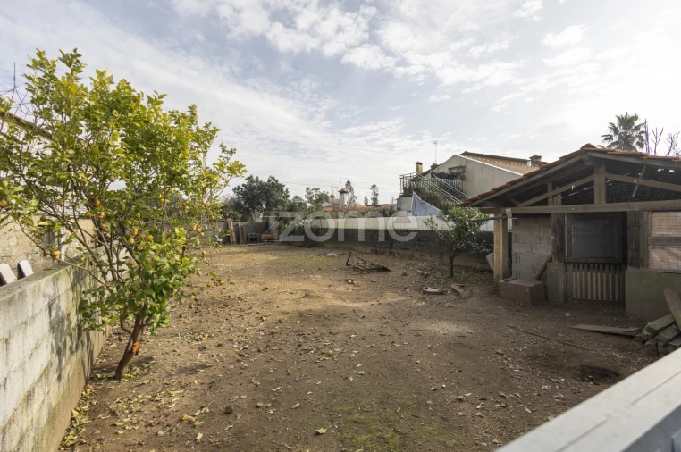 Terreno para Venda em Talhadas Foto 17
