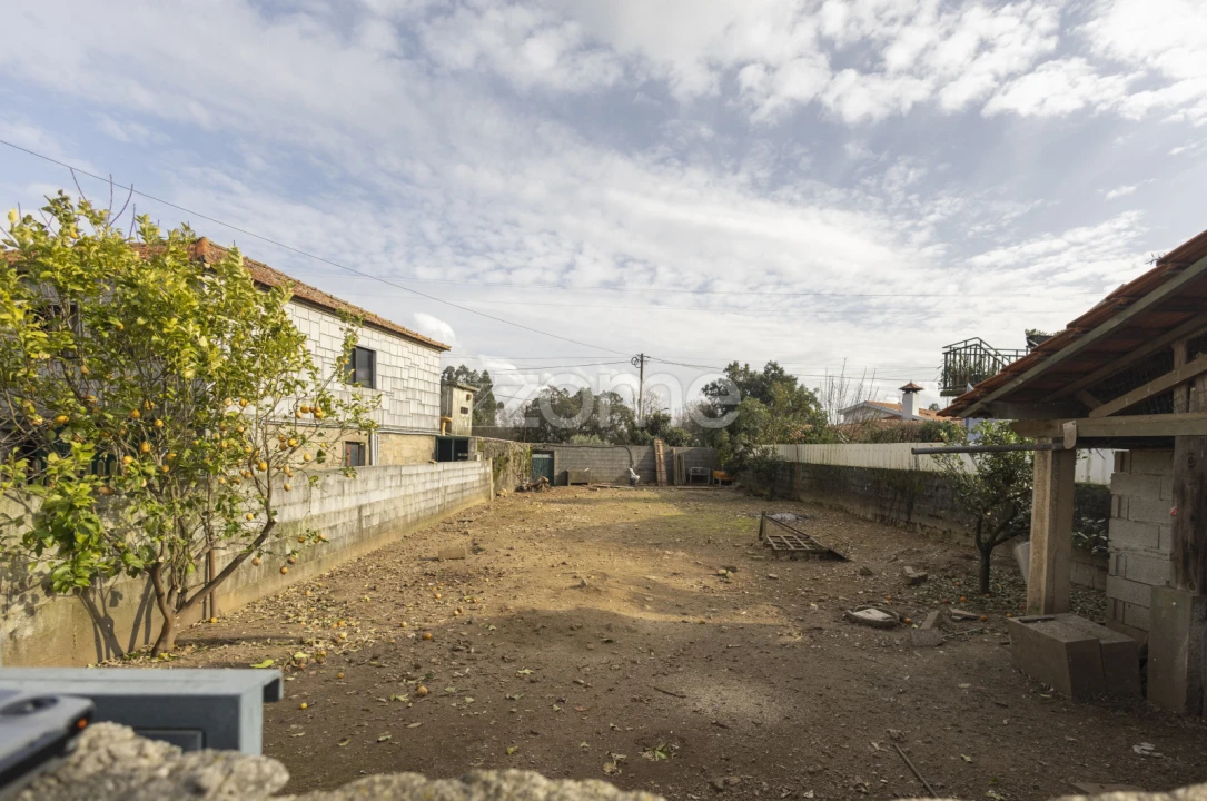 Terreno para Venda em Talhadas Foto 5