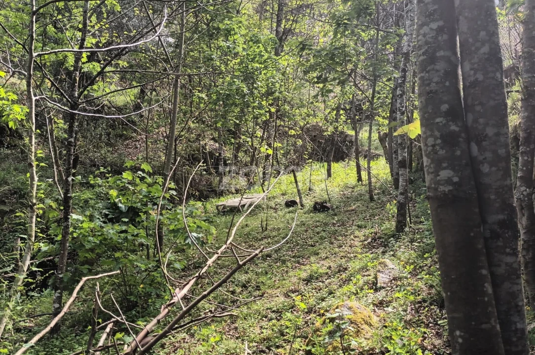 Terreno para Venda em Ventosa e Cova Foto 14