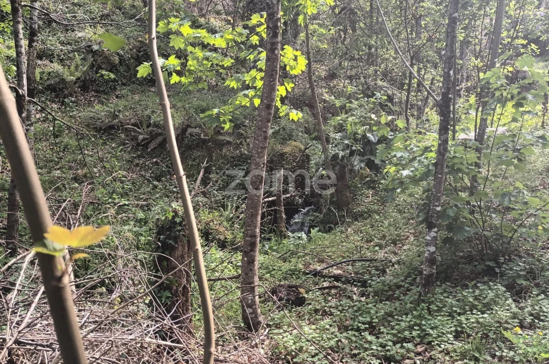 Terreno para Venda em Ventosa e Cova Foto 20