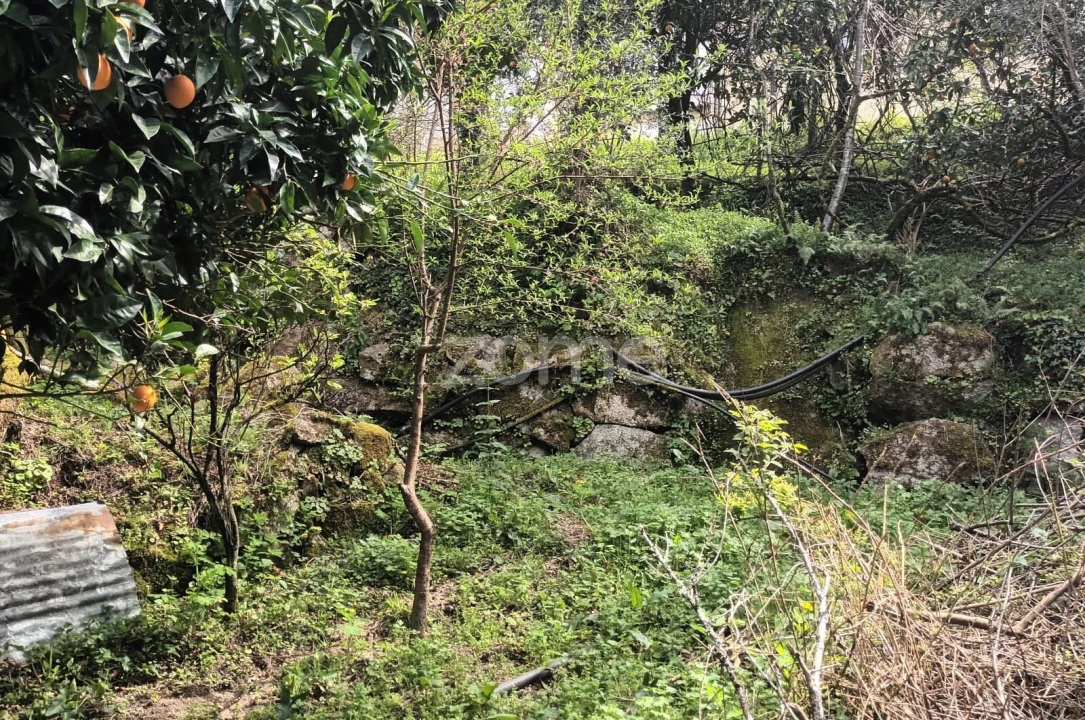 Terreno para Venda em Ventosa e Cova Foto 53