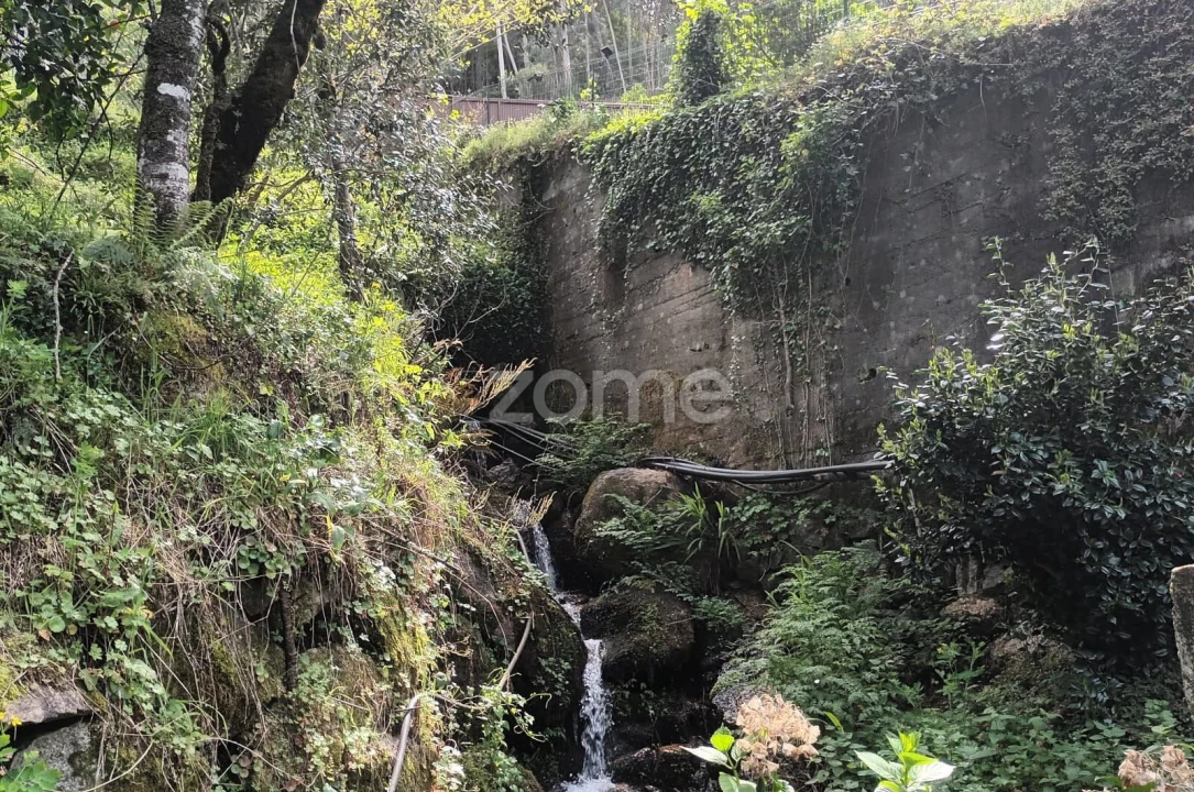 Terreno para Venda em Ventosa e Cova Foto 65