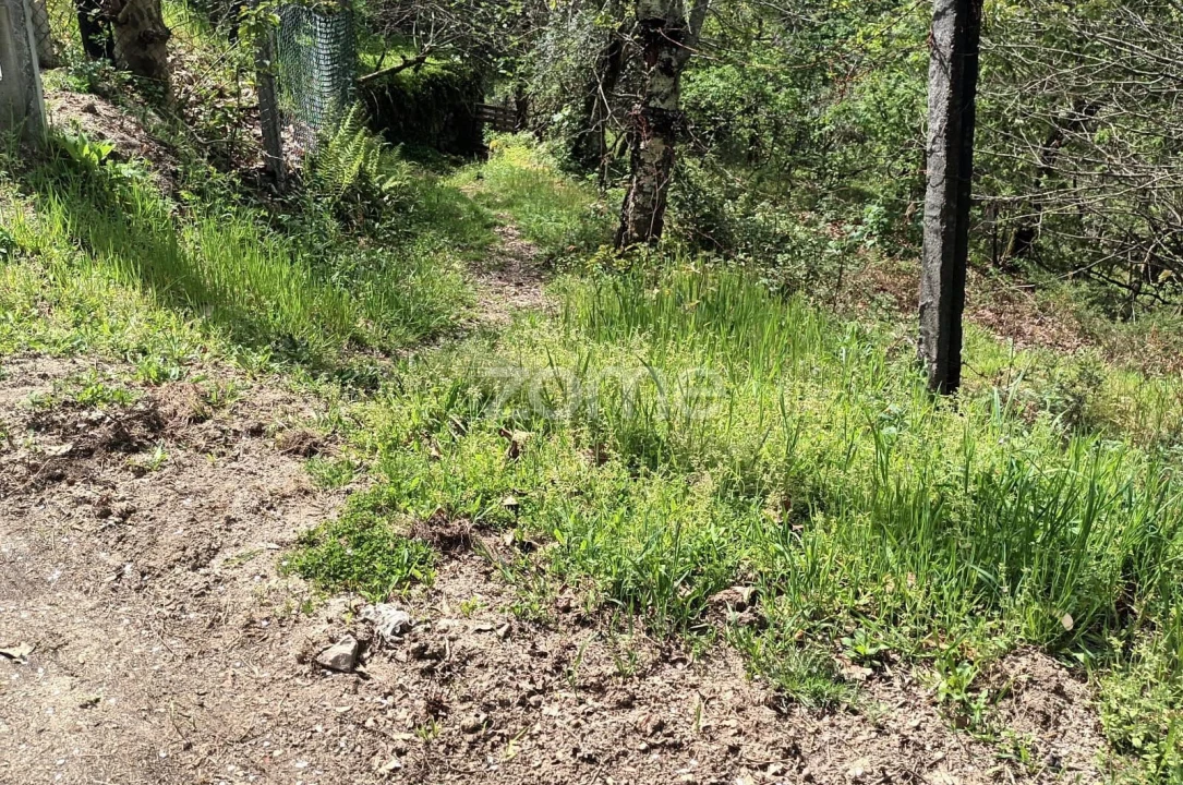 Terreno para Venda em Ventosa e Cova Foto 72