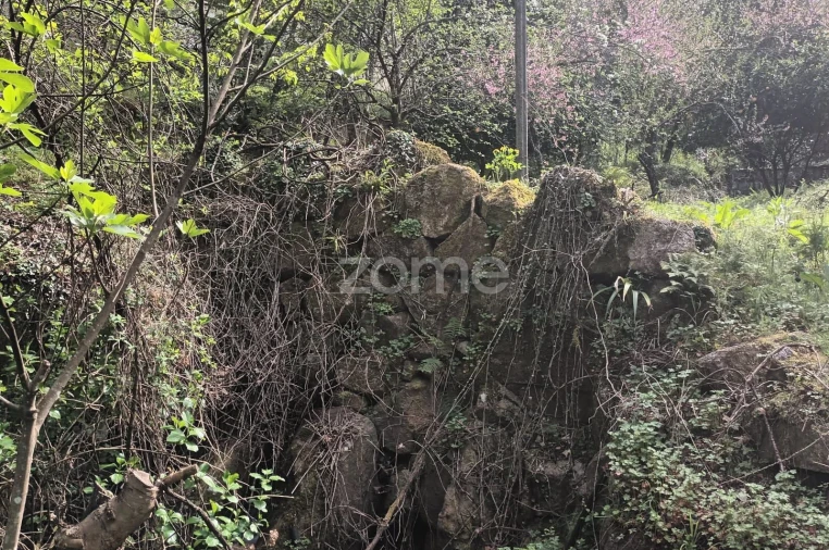 Terreno para Venda em Ventosa e Cova Foto 45