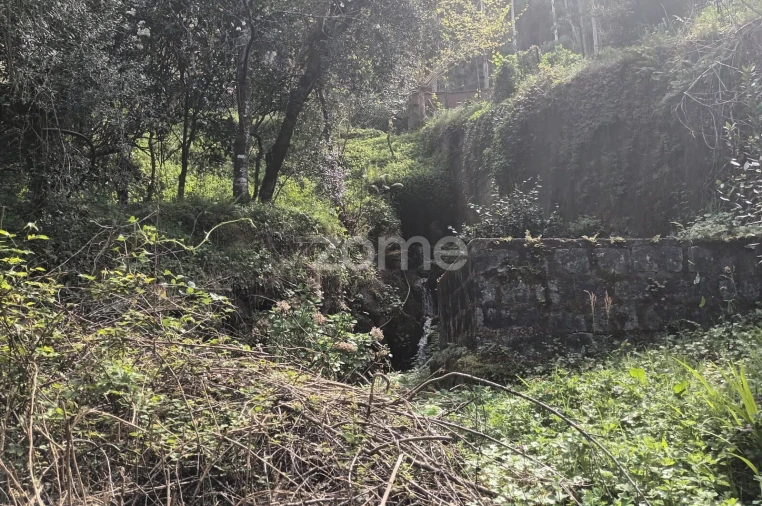 Terreno para Venda em Ventosa e Cova Foto 63