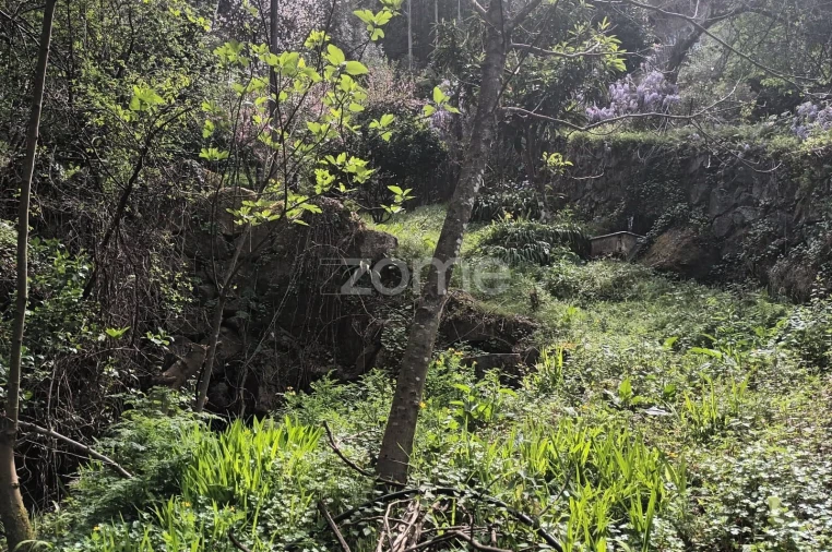 Terreno para Venda em Ventosa e Cova Foto 29