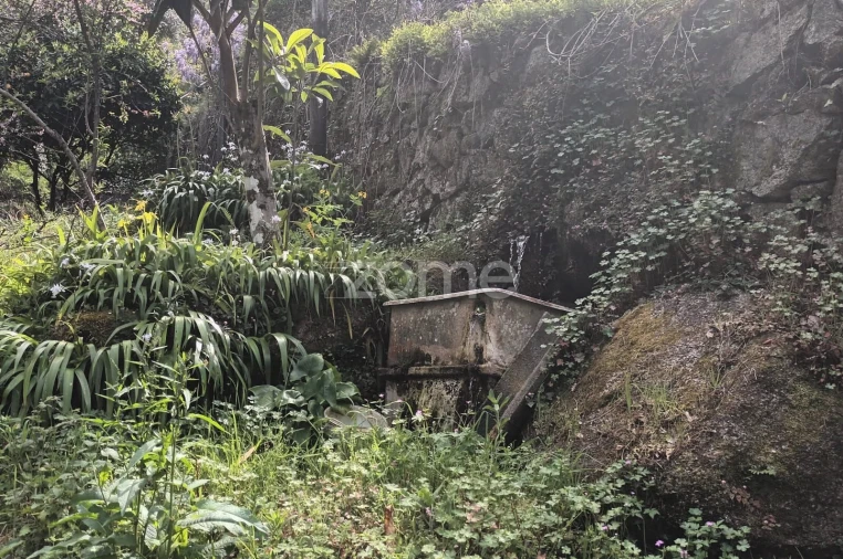 Terreno para Venda em Ventosa e Cova Foto 34