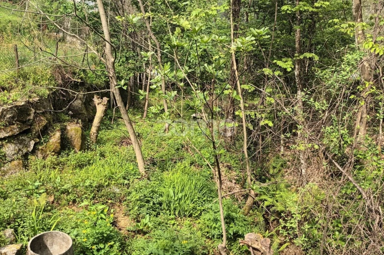 Terreno para Venda em Ventosa e Cova Foto 39