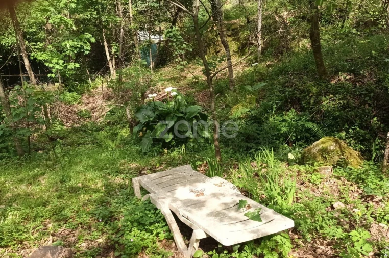 Terreno para Venda em Ventosa e Cova Foto 48