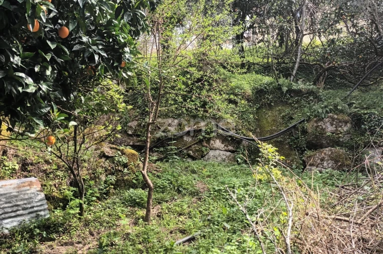 Terreno para Venda em Ventosa e Cova Foto 53