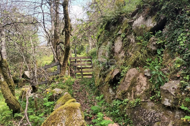 Terreno para Venda em Ventosa e Cova Foto 54