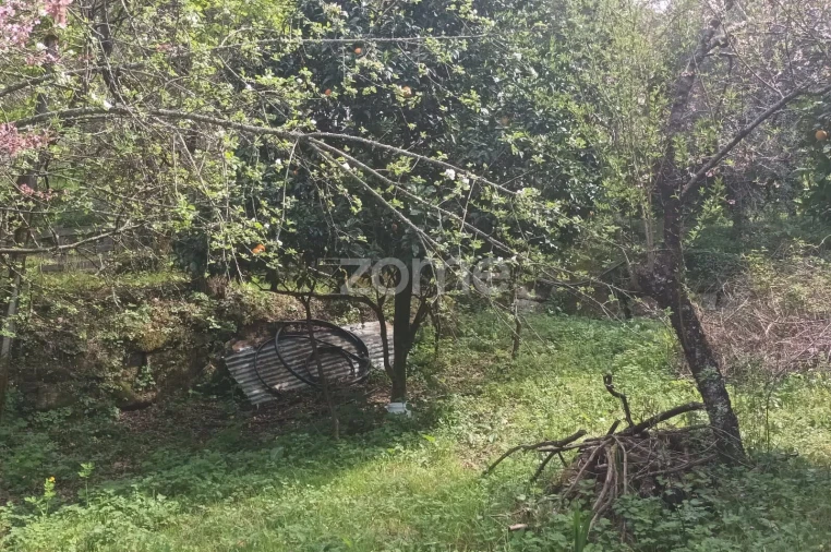 Terreno para Venda em Ventosa e Cova Foto 44