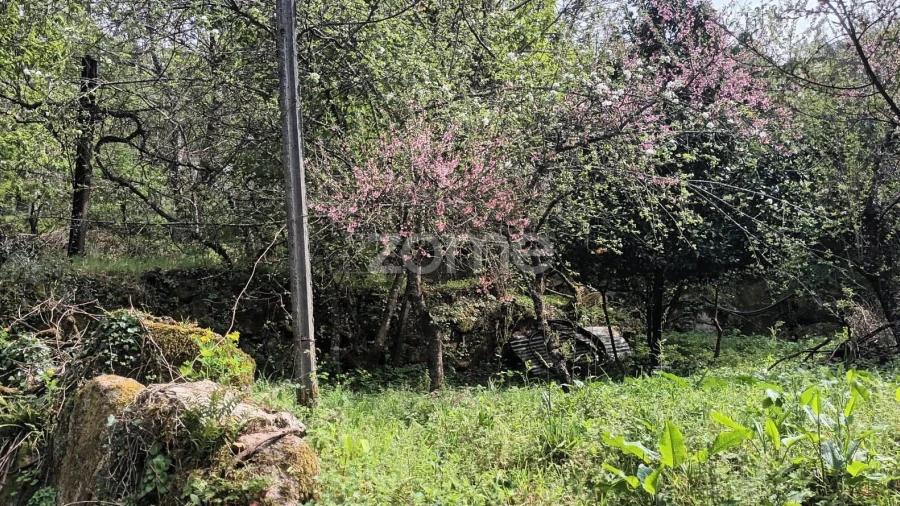 Terreno para Venda em Ventosa e Cova