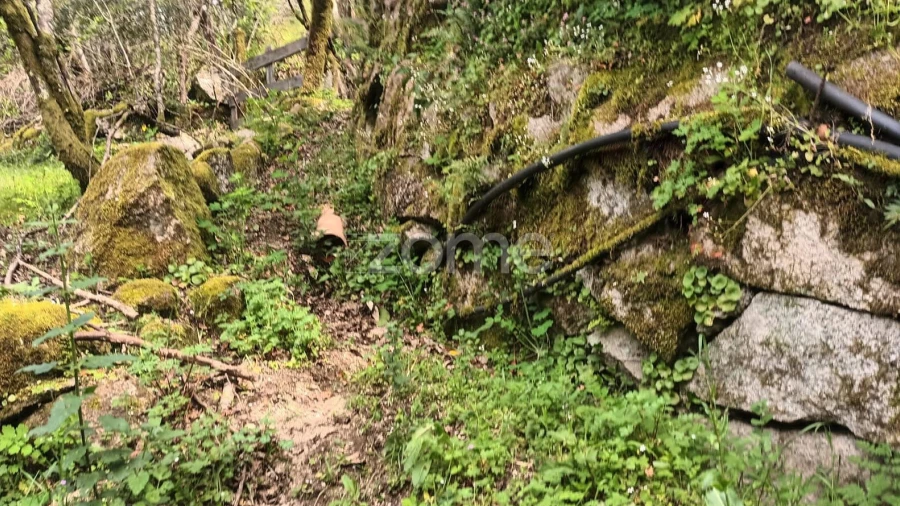 Terreno para Venda em Ventosa e Cova