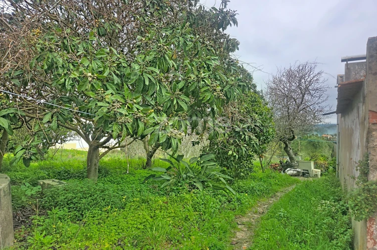 Moradia T2 para Venda em Lavos Foto 5