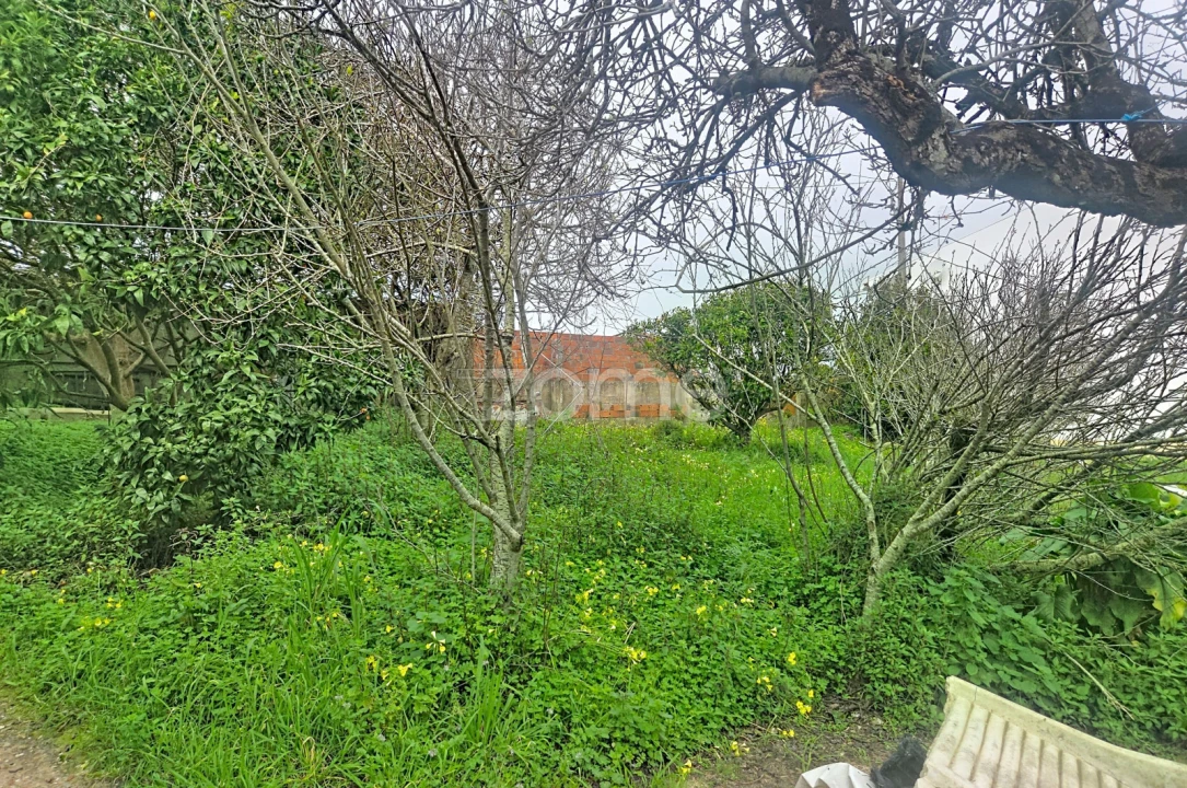 Moradia T2 para Venda em Lavos Foto 10