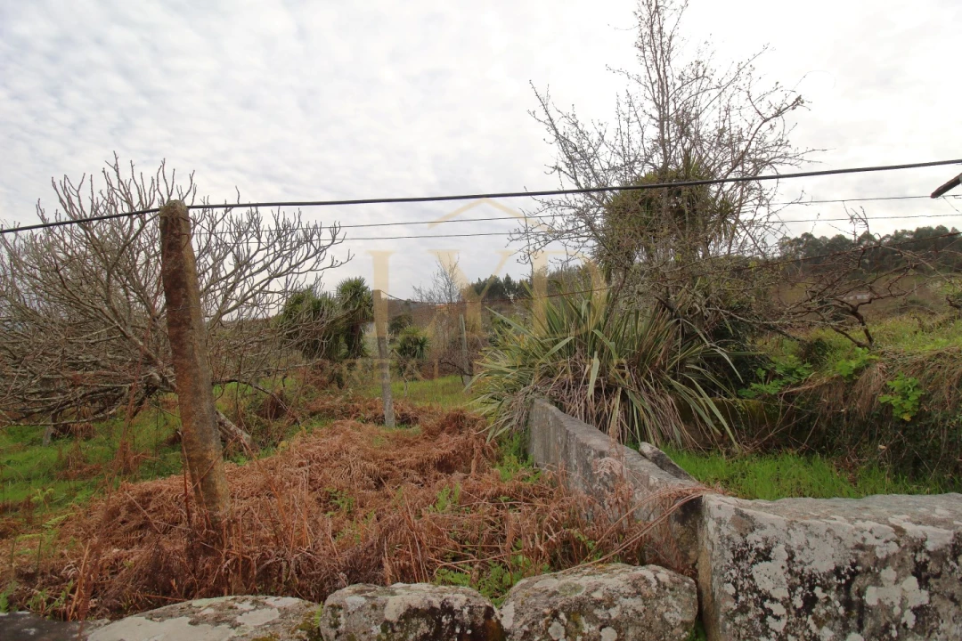 Quinta T1 para Venda em Luzim e Vila Cova Foto 12