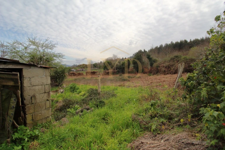 Quinta T1 para Venda em Luzim e Vila Cova Foto 4