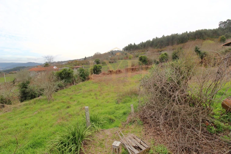 Quinta T1 para Venda em Luzim e Vila Cova Foto 5