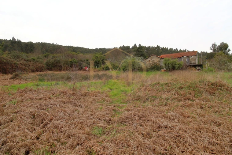 Quinta T1 para Venda em Luzim e Vila Cova Foto 7