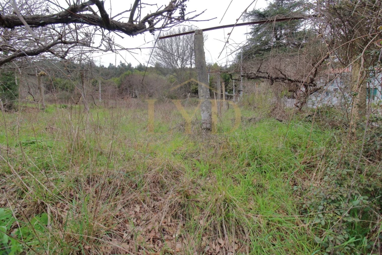 Quinta T1 para Venda em Luzim e Vila Cova Foto 10