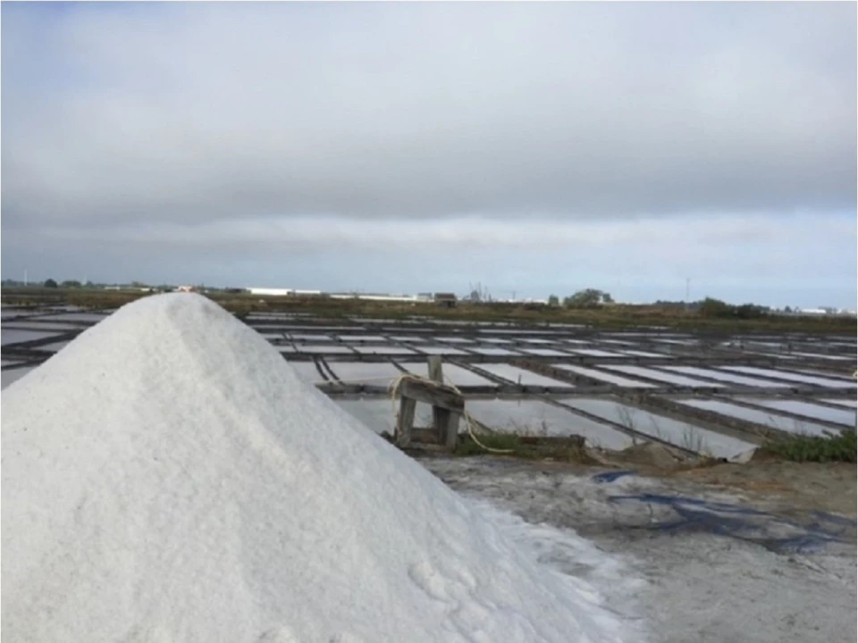 Apartamento T3 para Venda em Esgueira Foto 9