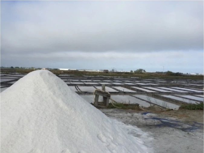 Apartamento T3 para Venda em Esgueira Foto 9