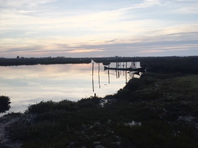 Apartamento T3 para Venda em Esgueira Foto 11