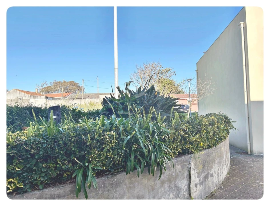 Apartamento T3 para Arrendamento em Arcozelo Foto 20