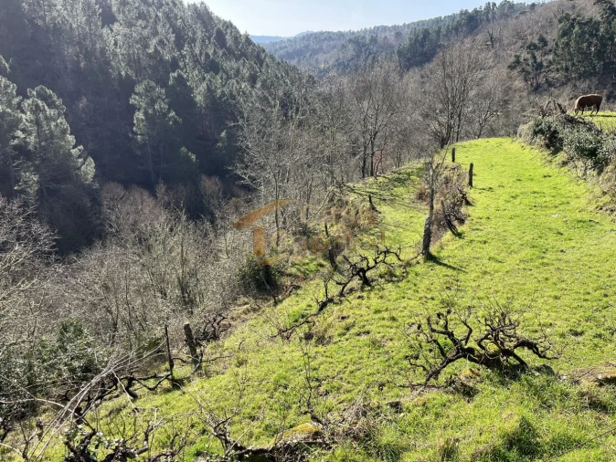 Quinta T0 para Venda em Mondrões Foto 13