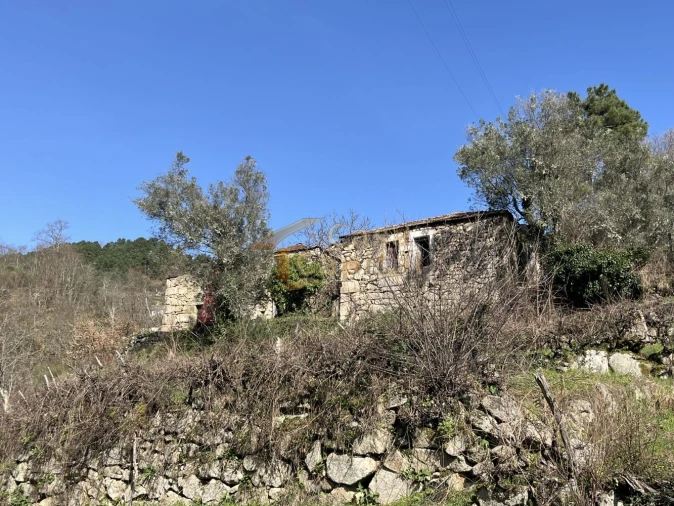 Quinta T0 para Venda em Mondrões Foto 9