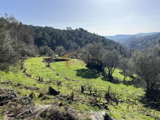 Quinta T0 para Venda em Mondrões Foto 18
