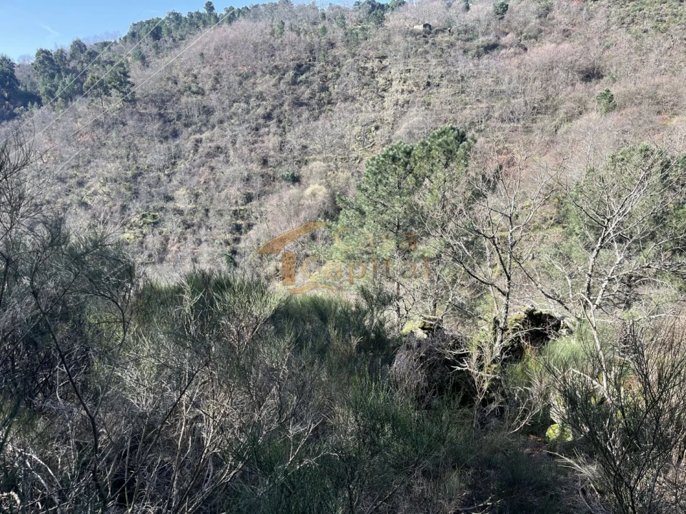 Quinta T0 para Venda em Mondrões Foto 20