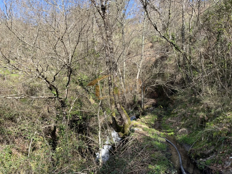 Quinta T0 para Venda em Mondrões Foto 21