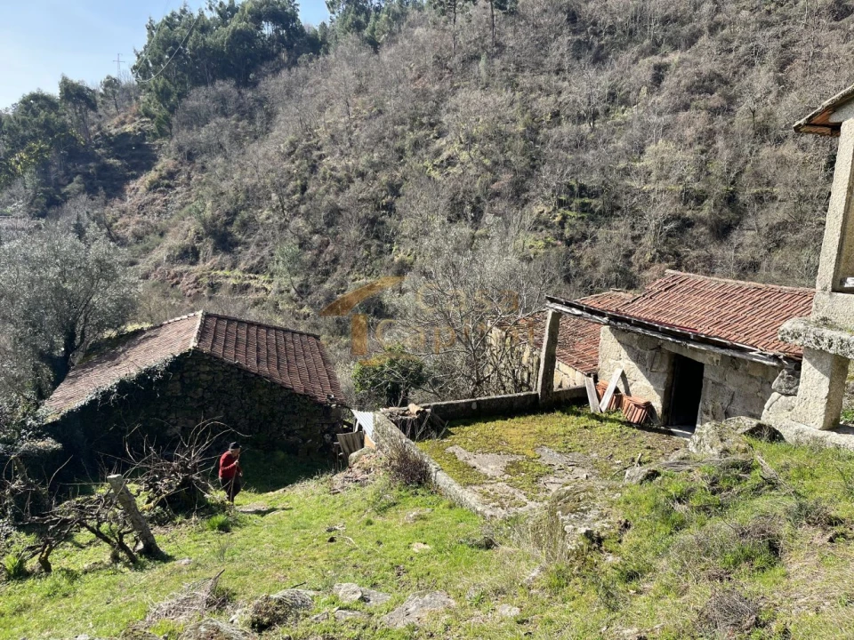 Quinta T0 para Venda em Mondrões Foto 8