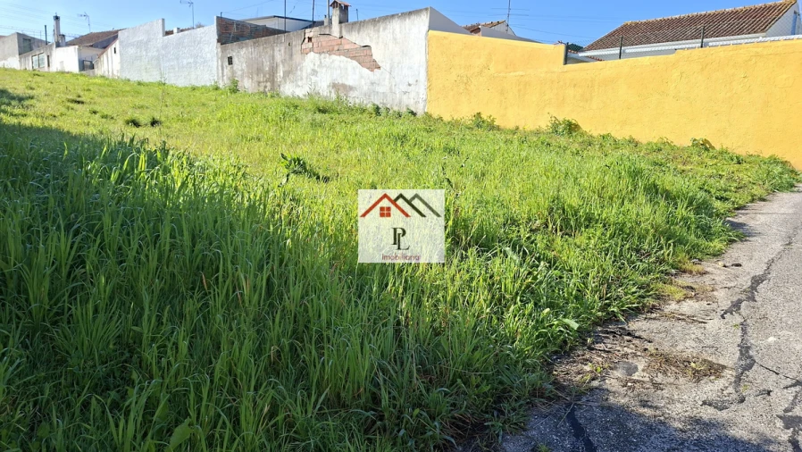 Terreno para Venda em São Martinho do Bispo e Ribeira de Frades Foto 3