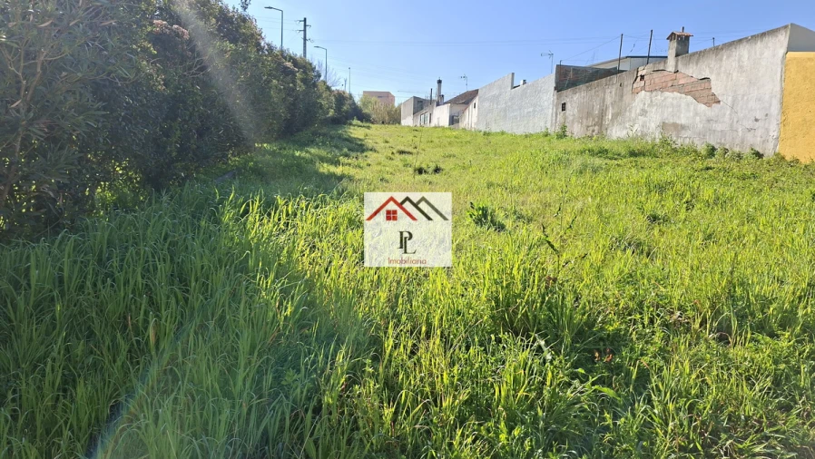 Terreno para Venda em São Martinho do Bispo e Ribeira de Frades Foto 2