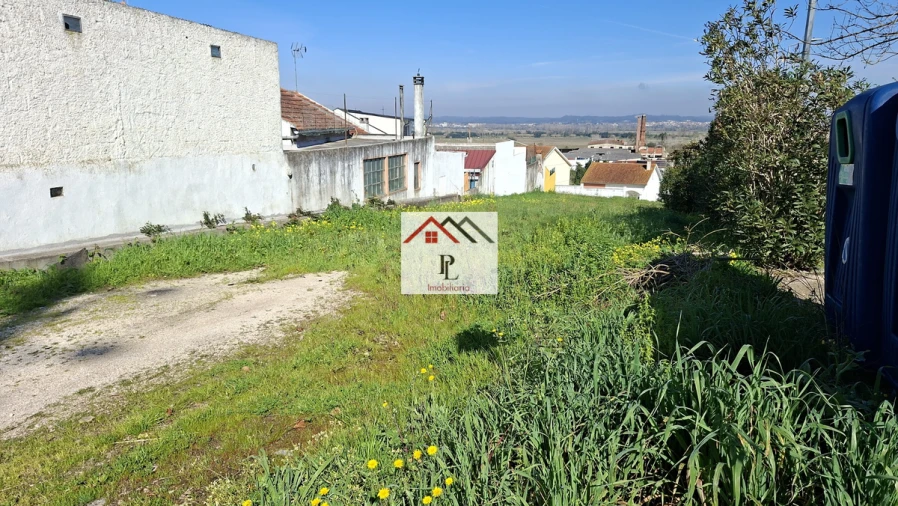 Terreno para Venda em São Martinho do Bispo e Ribeira de Frades Foto 5