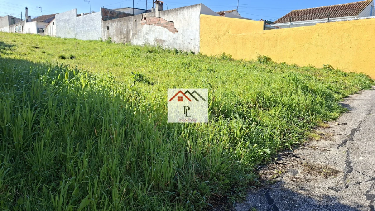 Terreno para Venda em São Martinho do Bispo e Ribeira de Frades Foto 3