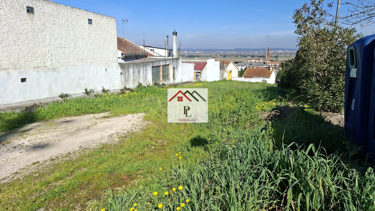 Terreno para Venda em São Martinho do Bispo e Ribeira de Frades Foto 5
