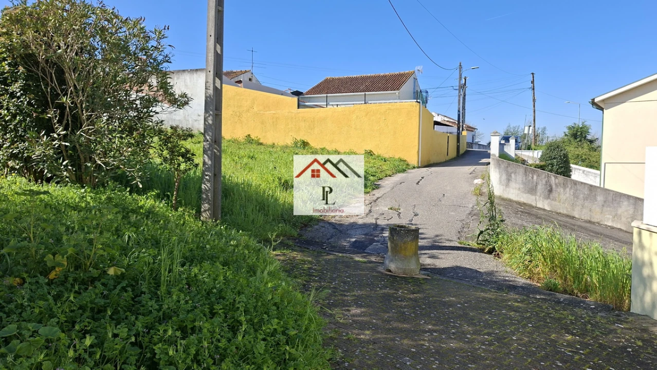 Terreno para Venda em São Martinho do Bispo e Ribeira de Frades Foto 12