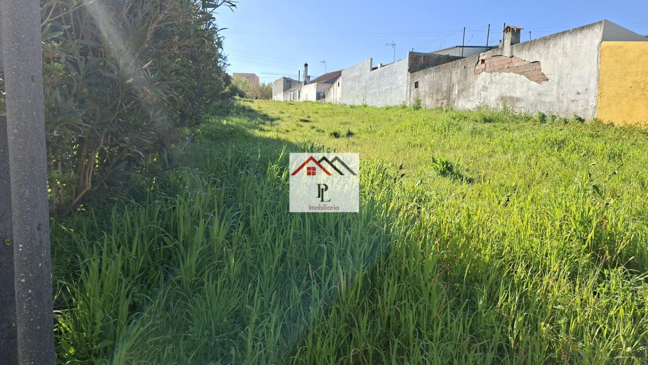 Terreno para Venda em São Martinho do Bispo e Ribeira de Frades Foto 4